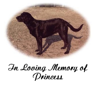 Cherie with Princess the dog